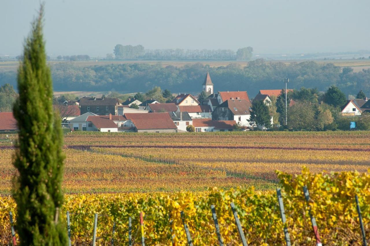 Gaestehaus & Weingut Peth Florsheim-Dalsheim Dış mekan fotoğraf